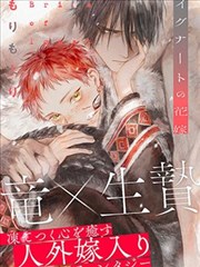 星际征途 小说封面
