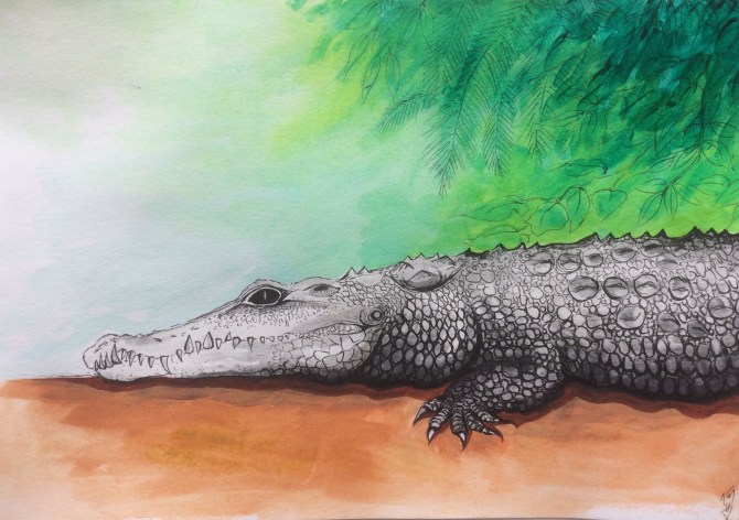 3C66DFD8-57B3-44CE-9082-E4CEB8777F74